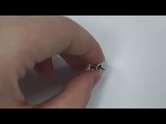 Hermetische Rückgabe