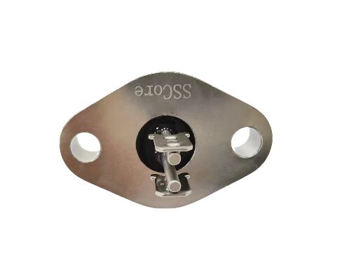 ELAN 48 Glasmaterialien Glas-Metalldichtungen mit 2 Pin-Nummern Ideal für elektronische Komponenten und Sensorgeräte